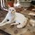 Kathleen Paymard's profile image