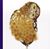 Jill Stone Kallas's profile image