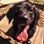 Gail Rinks's profile image