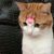 Bettina Babi's profile image