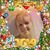 Bonnie Lassiter's profile image
