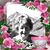 Anne Ernst's profile image