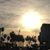 Belinda Sellars's profile image