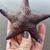 Christy White's profile image