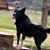 Melinda Phelps Feickert's profile image