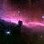 Claire BishBlue's profile image