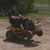 Jeff Donaldson's profile image