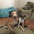 Peggy Dunn's profile image