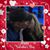 Lisa Boulay's profile image