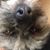 Cece Victoria Farris's profile image