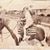 Betty Roubik's profile image