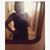 Anna Mio Bertolo's profile image