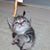 Kelly Richert's profile image