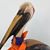 Barbara Shealy's profile image