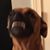 Eric Hanscom's profile image