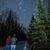 Jodi Ellis's profile image
