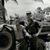 Thel Murphy's profile image