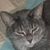 Lynn Holmgren's profile image