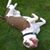 Urs Barnes's profile image