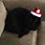 Margie Salladino Mastrome's profile image
