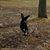 Paul Girouard's profile image