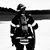 David Gandrud's profile image