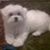 Edna Manzano's profile image