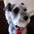 David Johnson's profile image