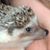 Karen Weiss's profile image