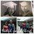 Anna Marie Chitty's profile image