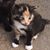 Lori Gruenhagen-Hotopp's profile image