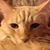 William Joseph Powers's profile image