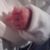 Brent Smith's profile image