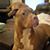 Peggy Carofano Bell's profile image