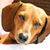 Nancy Barroso's profile image