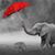 Kimberly Smith's profile image