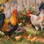 Jacqueline Davidson's profile image