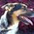 Robin Kornblatt Kossman's profile image