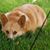 Susan Martin's profile image