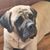 Debby Falvo's profile image