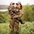 Jenna Dunn's profile image