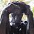 Colleen Ewert-Grober's profile image