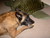Marva G.'s profile image
