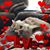 Loli Orrico's profile image
