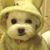 Michelle Collins's profile image