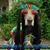 Connie Carol Johnson's profile image