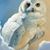 Erica Wise Johnson's profile image