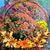 Monali Barapatre's profile image