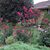 Joyce Desaulniers Givens's profile image