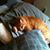 Lynn Levercom Wodziak's profile image